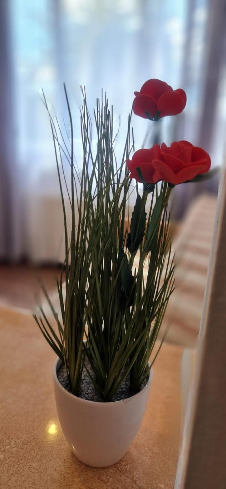 בראשוב Stephanie Apartment-Centru Civic מראה חיצוני תמונה