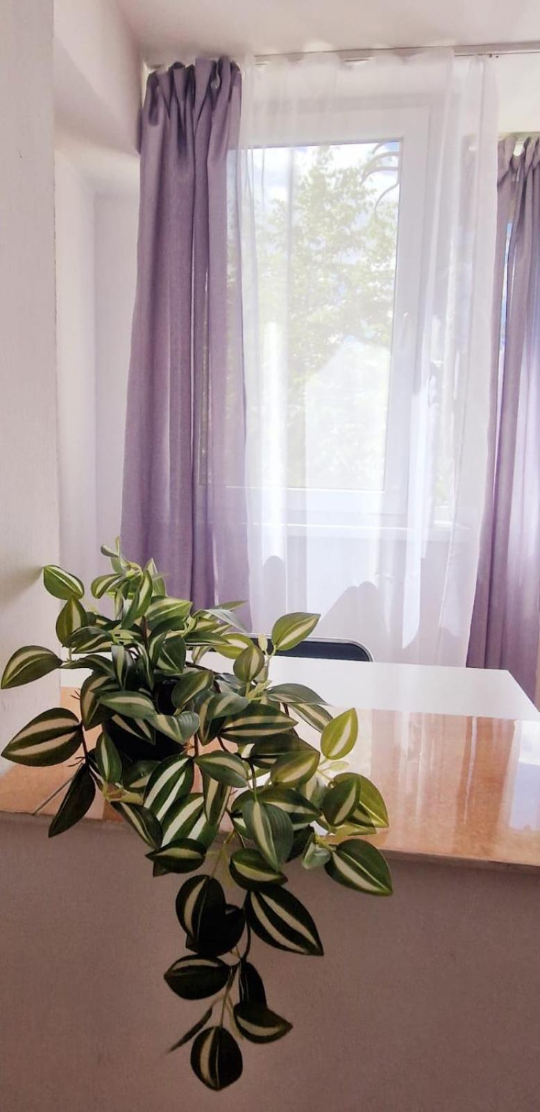 בראשוב Stephanie Apartment-Centru Civic מראה חיצוני תמונה