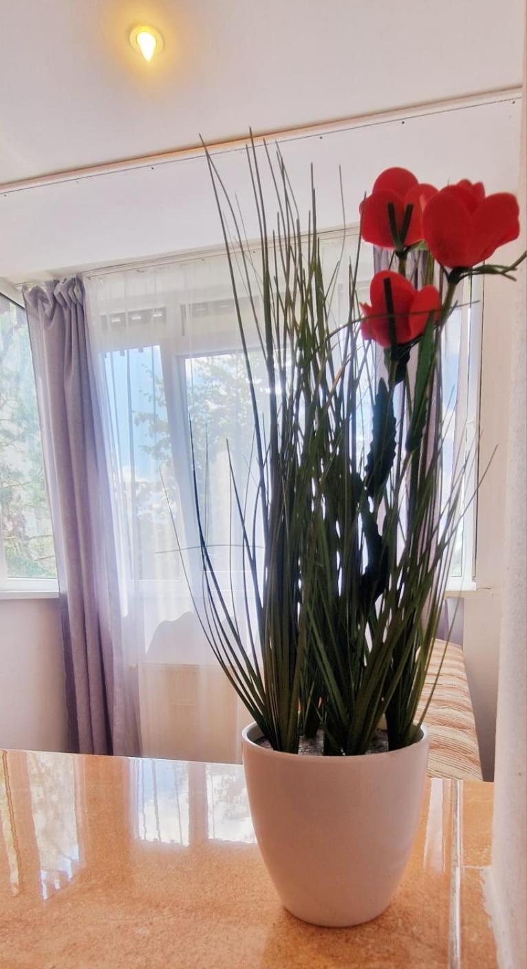 בראשוב Stephanie Apartment-Centru Civic מראה חיצוני תמונה