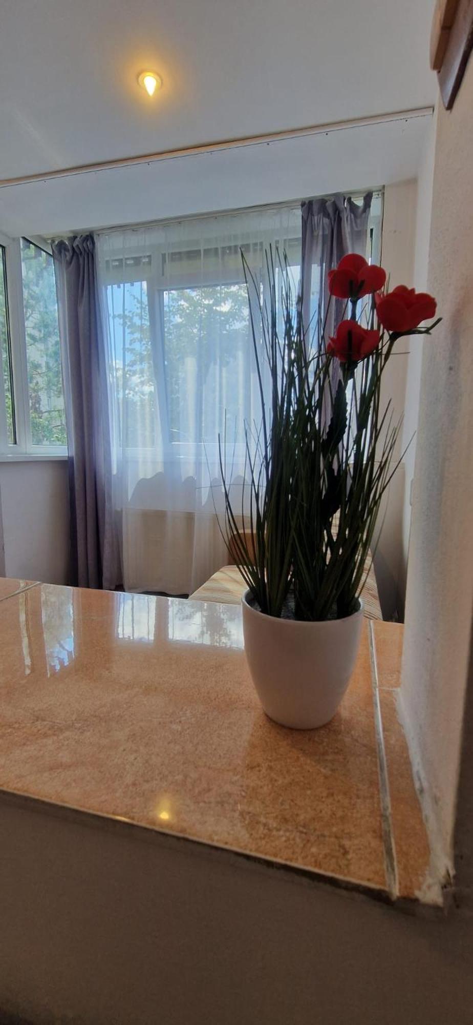 בראשוב Stephanie Apartment-Centru Civic מראה חיצוני תמונה