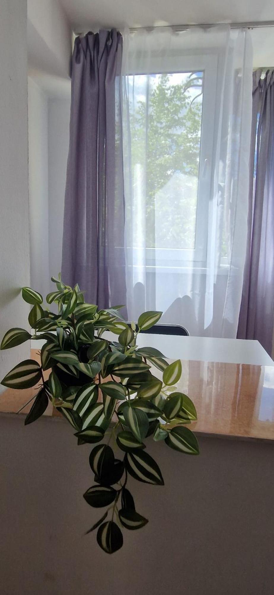 בראשוב Stephanie Apartment-Centru Civic מראה חיצוני תמונה