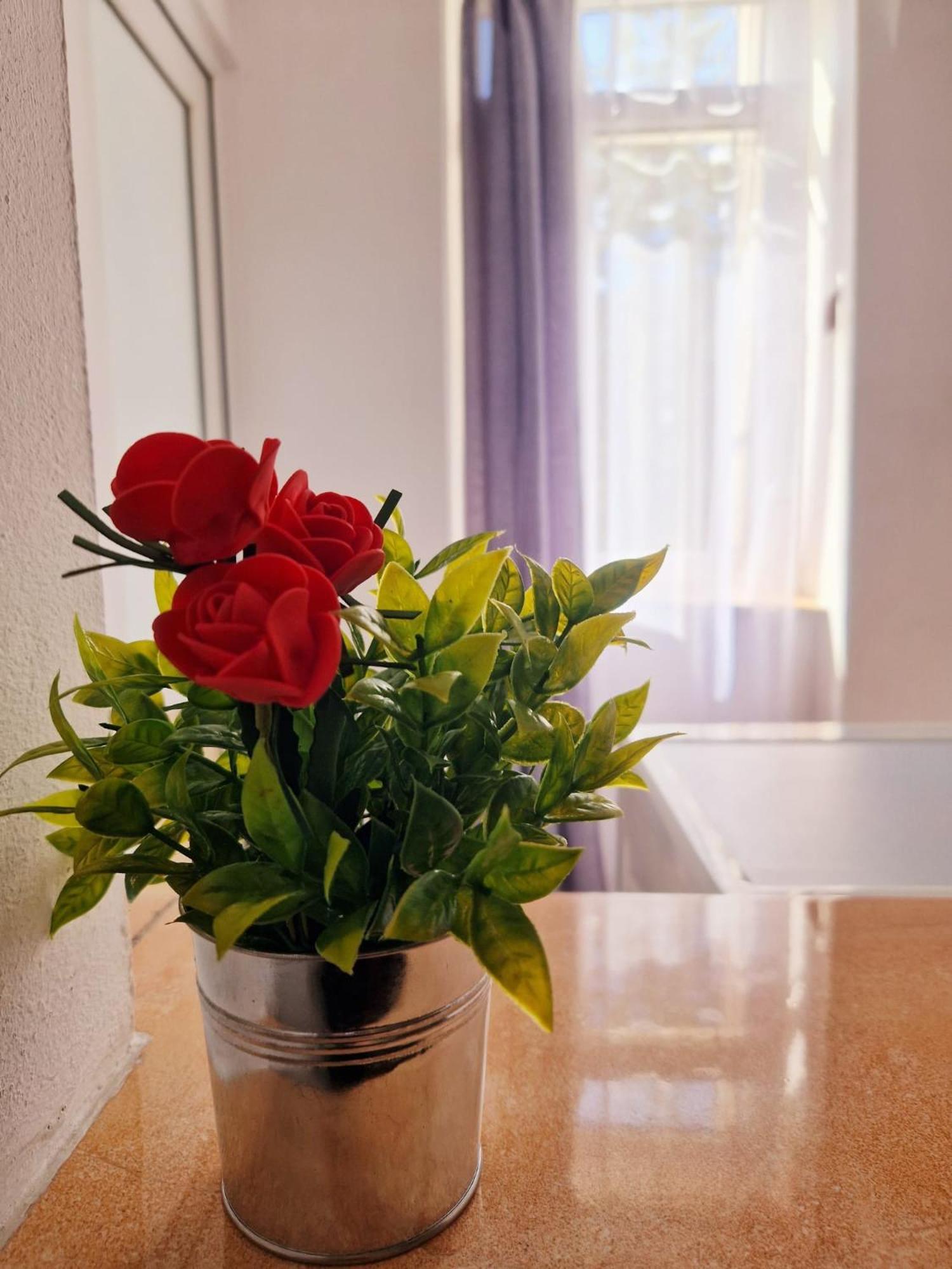 בראשוב Stephanie Apartment-Centru Civic מראה חיצוני תמונה