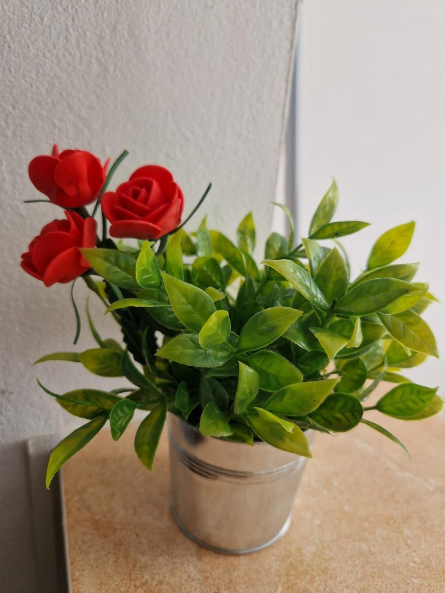 בראשוב Stephanie Apartment-Centru Civic מראה חיצוני תמונה