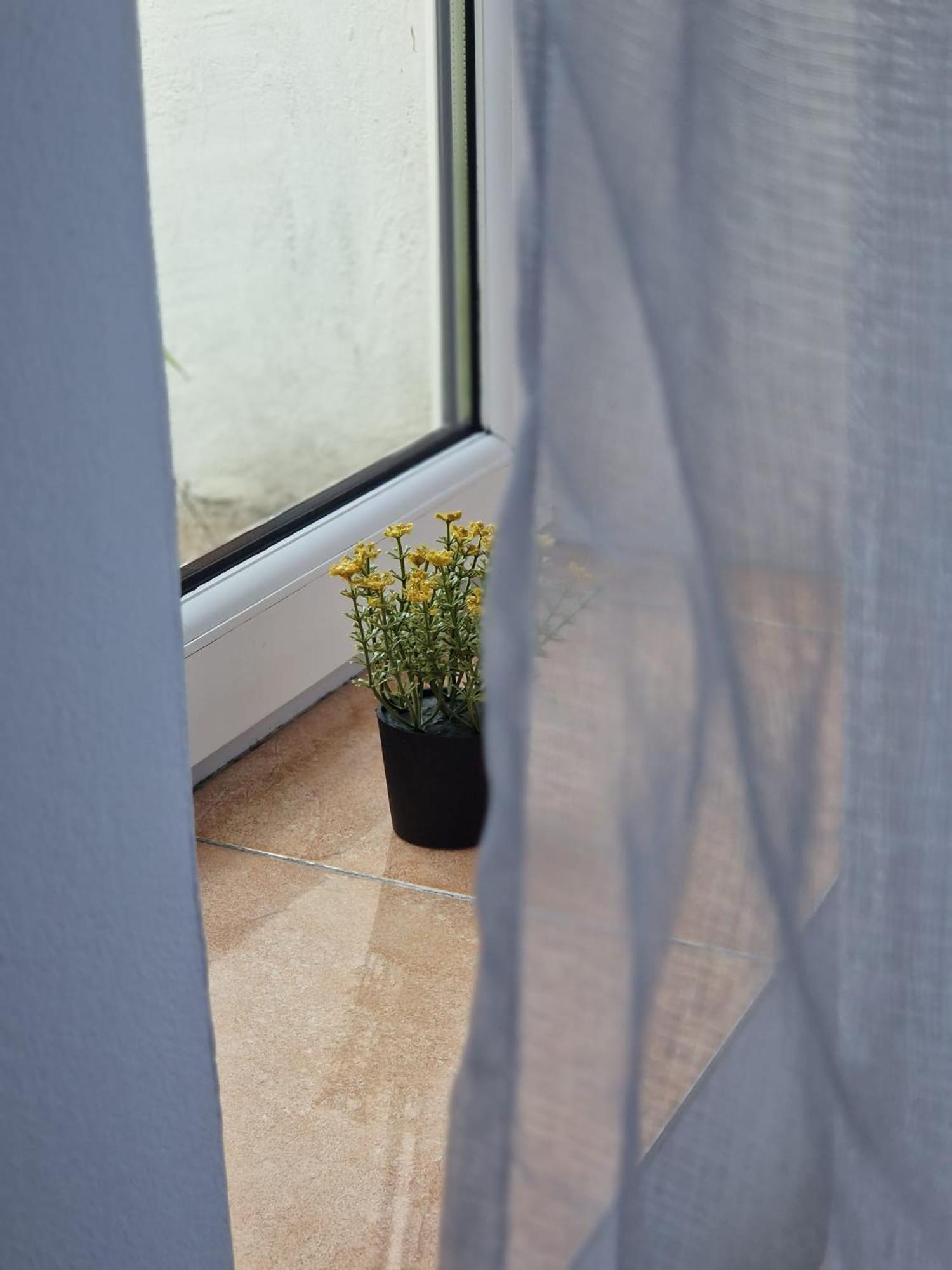 בראשוב Stephanie Apartment-Centru Civic מראה חיצוני תמונה