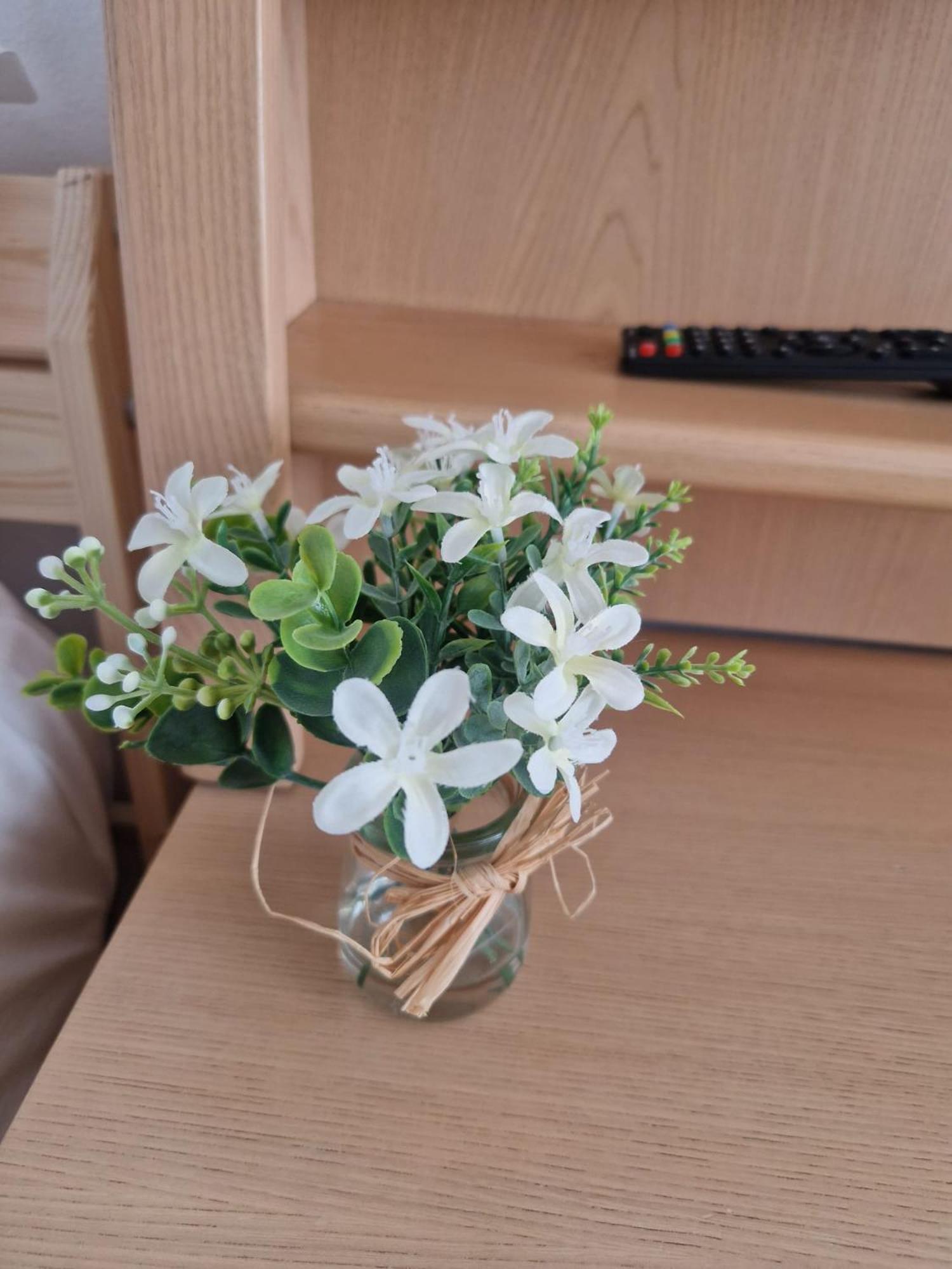 בראשוב Stephanie Apartment-Centru Civic מראה חיצוני תמונה
